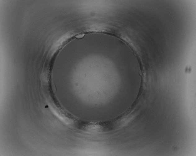 X0000111470203200907131526