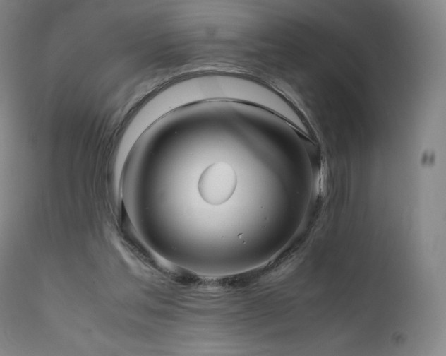 X0000111470205200907131526