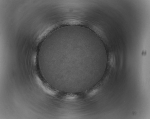 X0000111470206200907131526