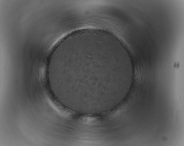 X0000111470208200907131526