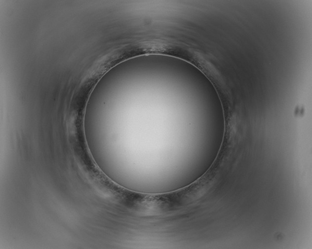 X0000111470209200907131526