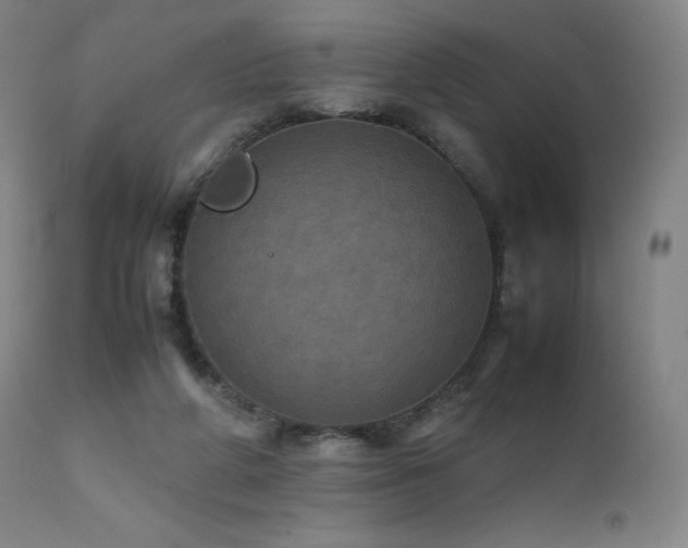 X0000111470210200907131526