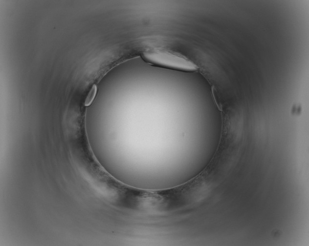X0000111470215200907131526