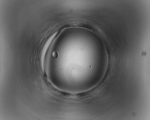 X0000111470217200907131526