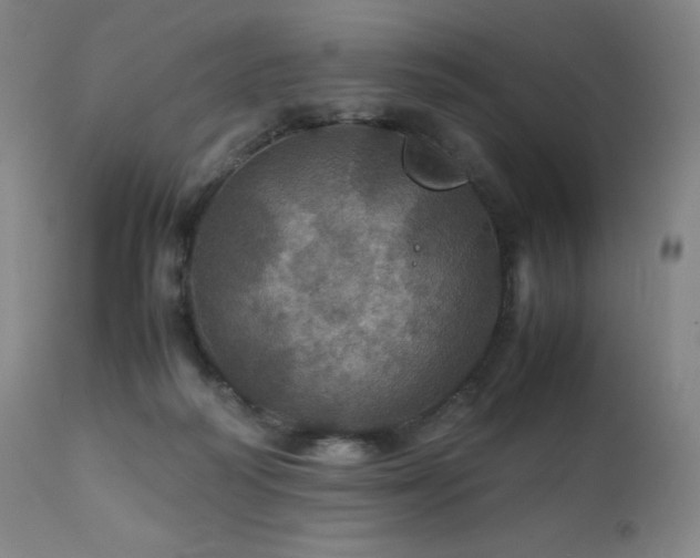 X0000111470218200907131526