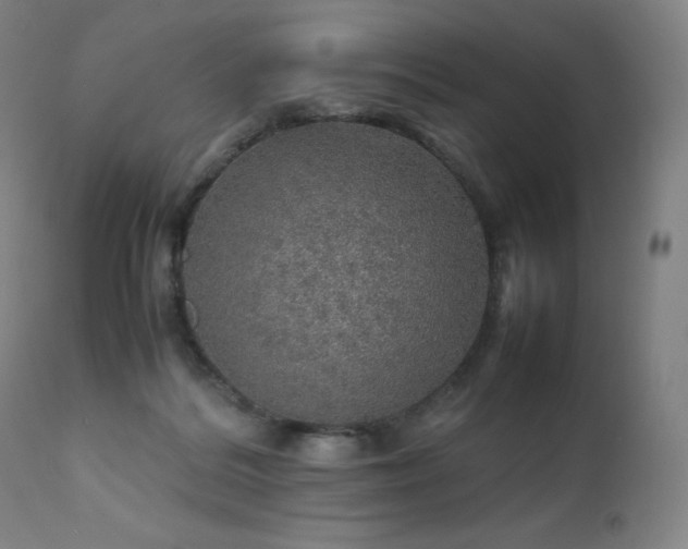 X0000111470220200907131526