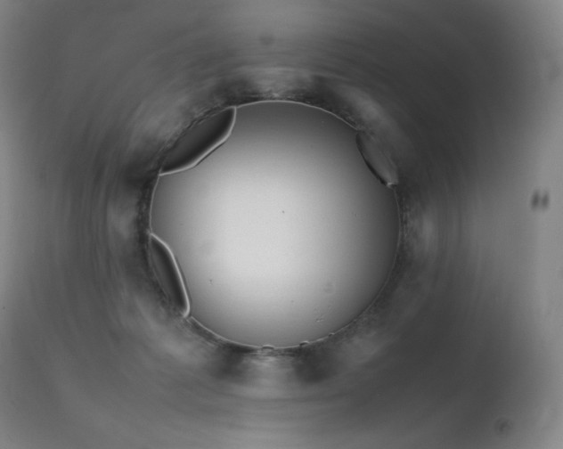 X0000111470221200907131526