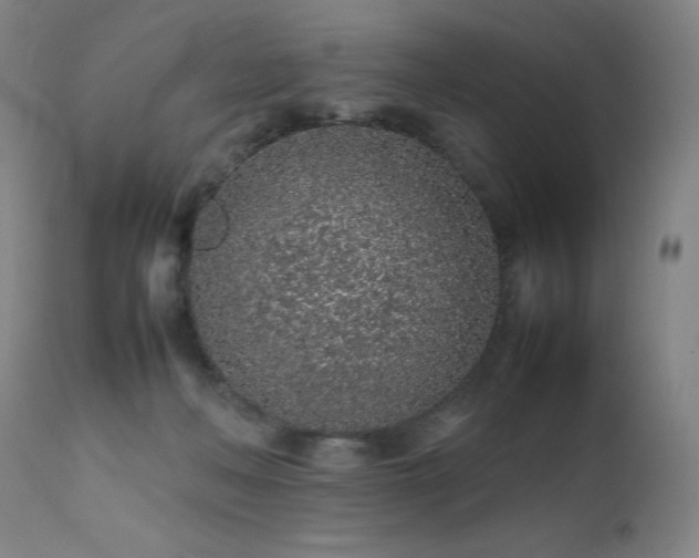 X0000111470222200907131525