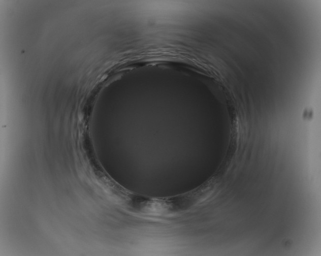 X0000111470223200907131525