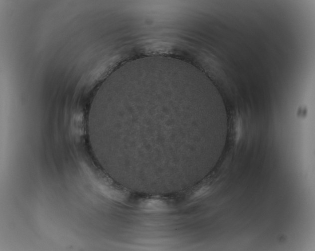 X0000111470224200907131525