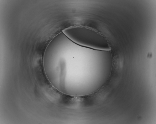 X0000111470225200907131525