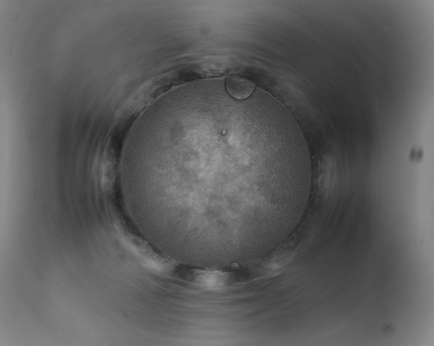 X0000111470226200907131525