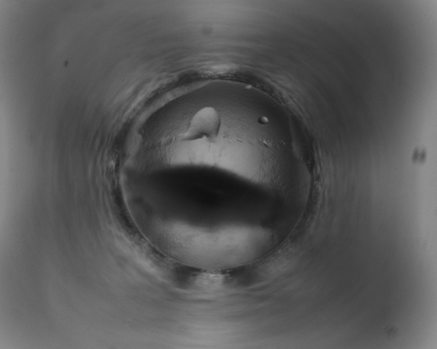 X0000111470227200907131525