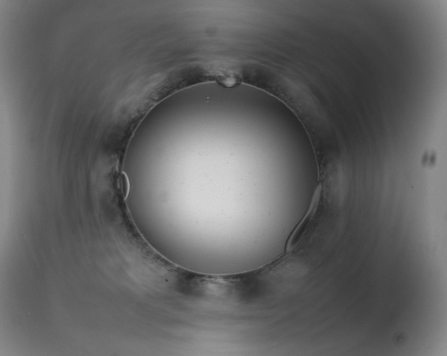 X0000111470229200907131525