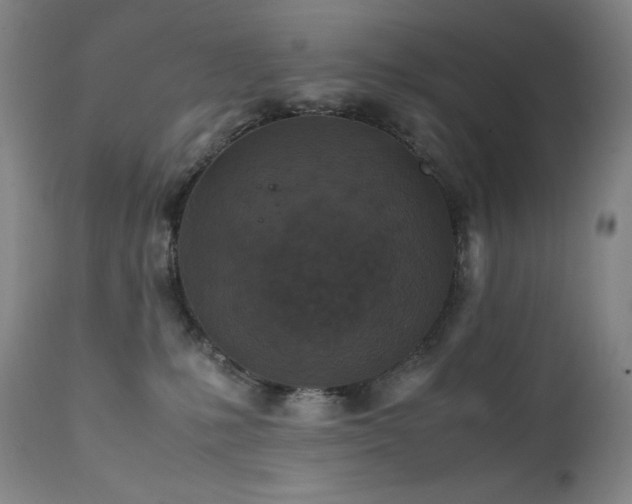 X0000111470231200907131525