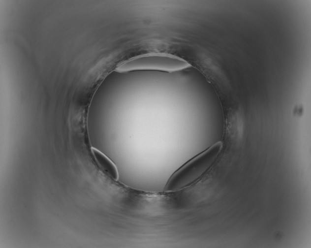 X0000111470233200907131525