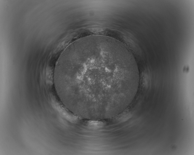 X0000111470234200907131525
