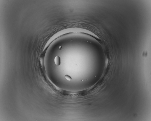 X0000111470235200907131525