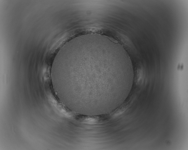 X0000111470236200907131525