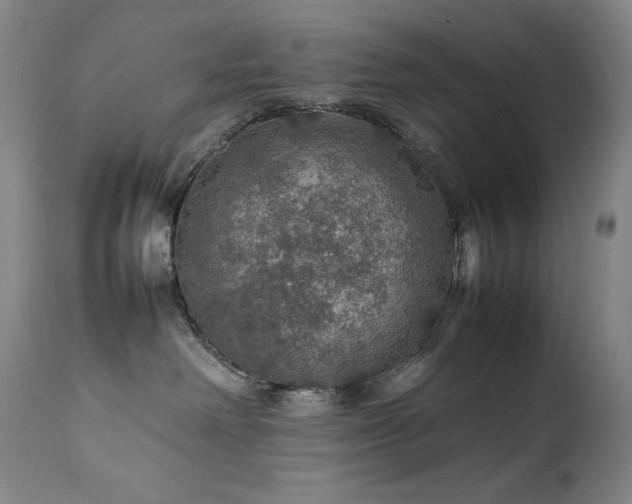 X0000111470238200907131525