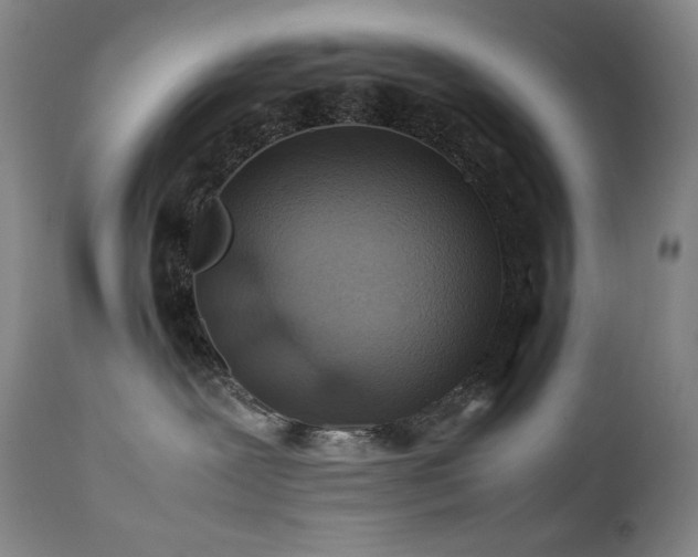 X0000111470239200907131525