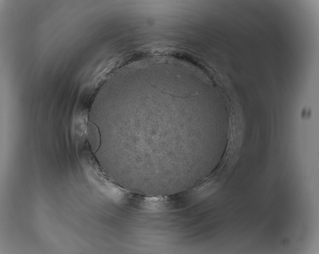 X0000111470240200907131525