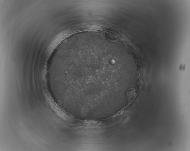 X0000111470242200907131525