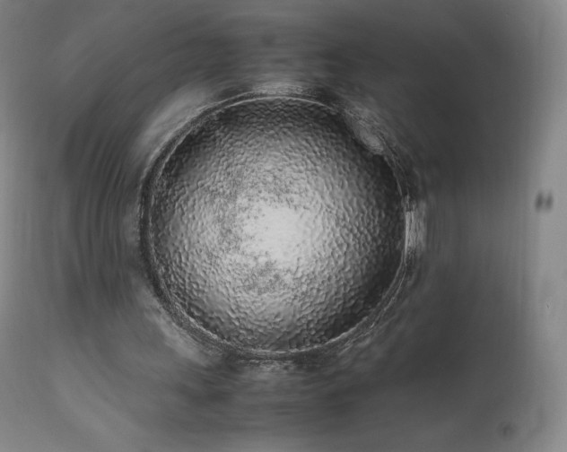 X0000111470243200907131525