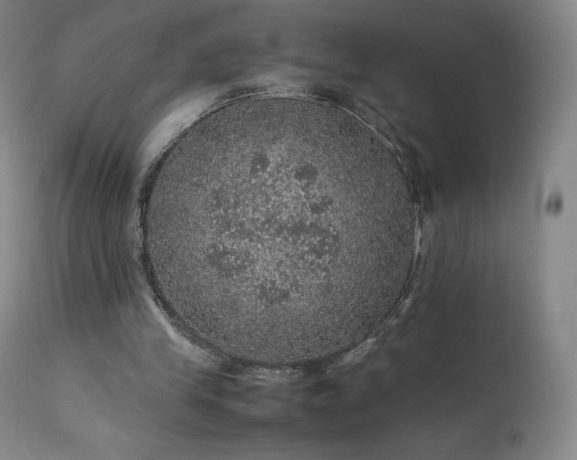 X0000111470245200907131525