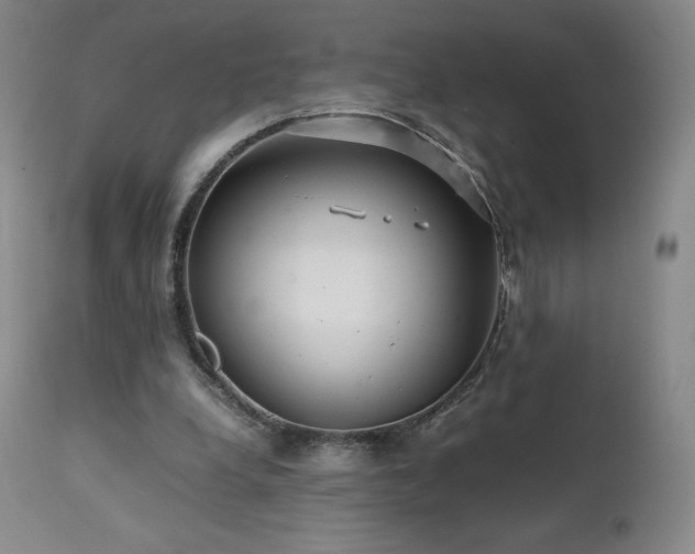 X0000111470248200907131525
