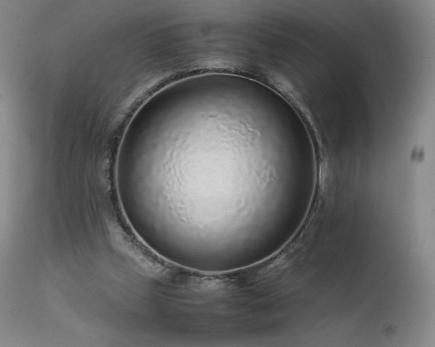 X0000111470249200907131525