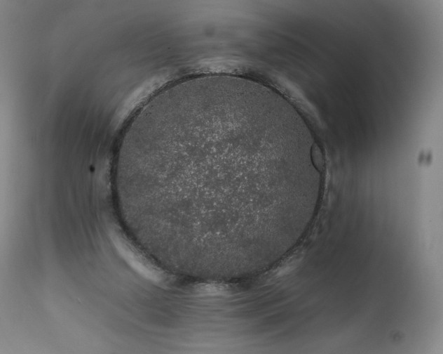 X0000111470250200907131525