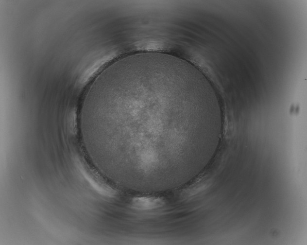 X0000111470251200907131525