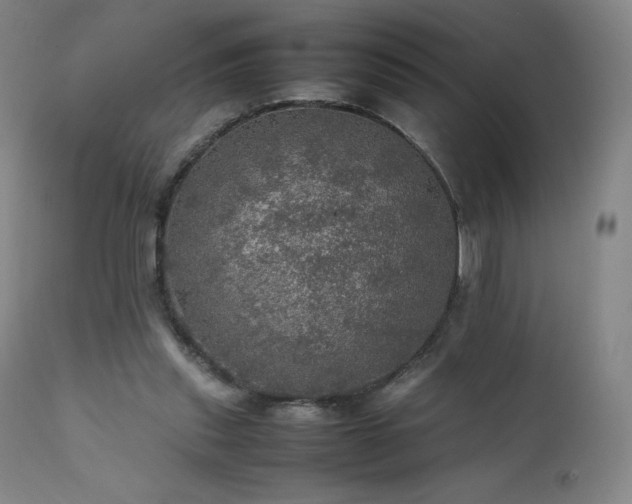 X0000111470253200907131525