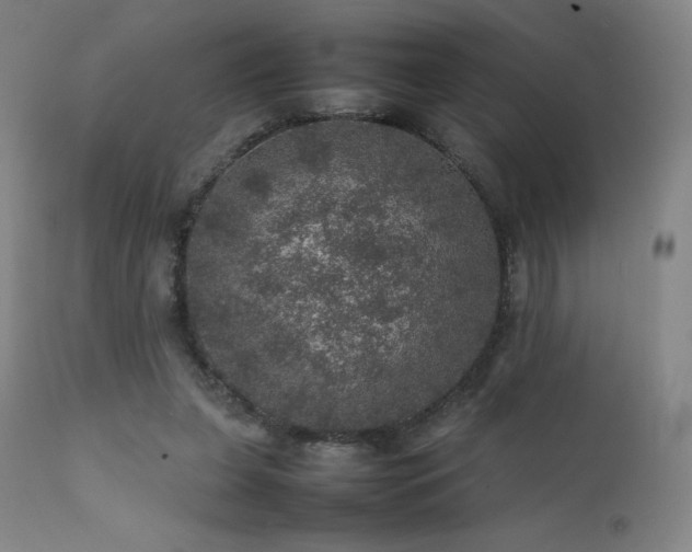 X0000111470255200907131525