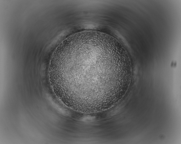 X0000111470257200907131525
