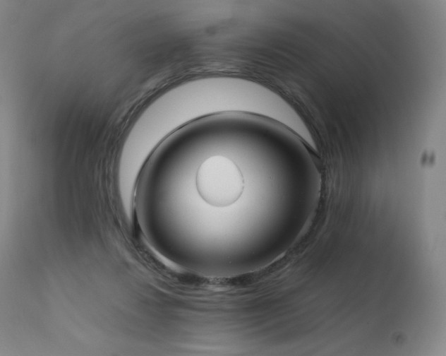 X0000111470260200907131525