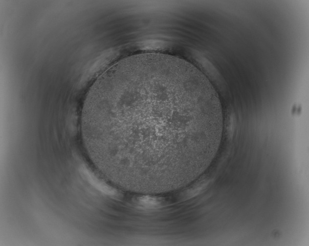 X0000111470261200907131525