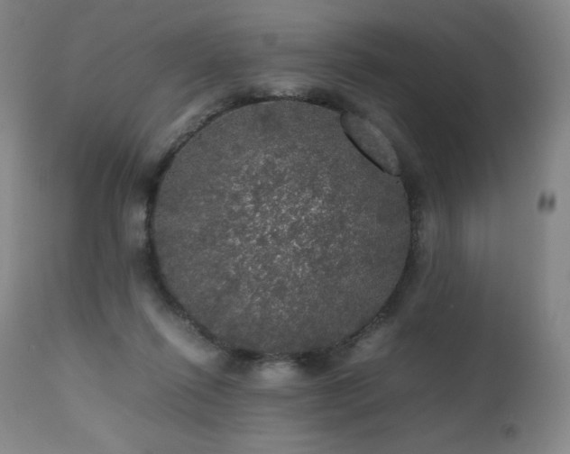 X0000111470262200907131525