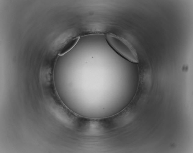 X0000111470264200907131525