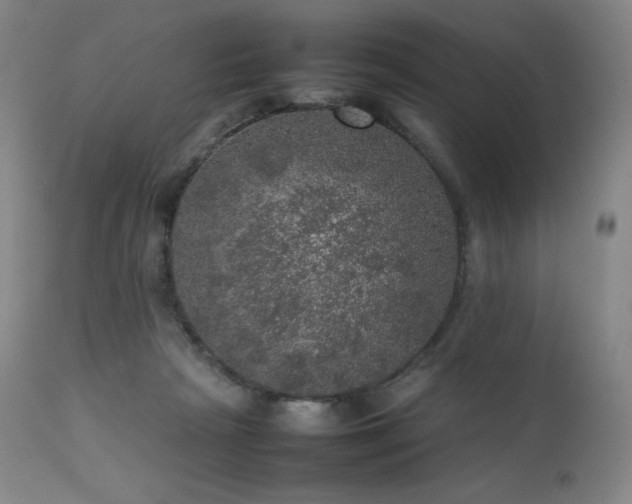 X0000111470265200907131525