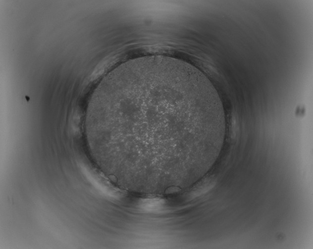 X0000111470266200907131525