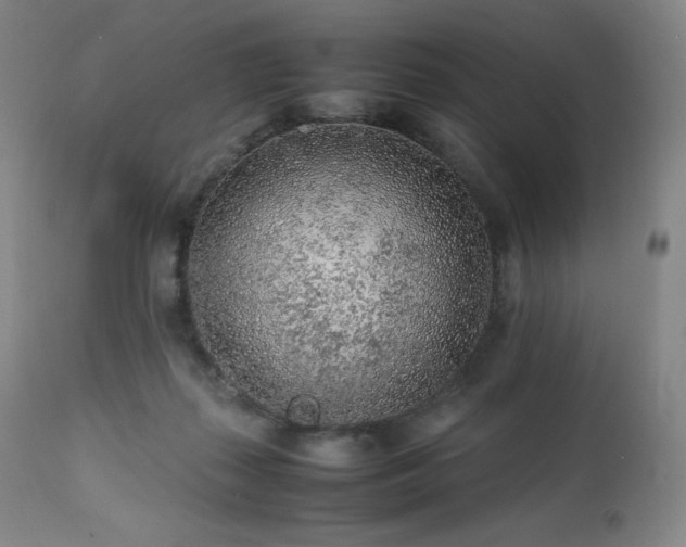 X0000111470267200907131525