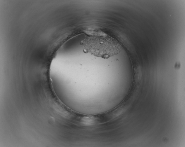 X0000111470269200907131525