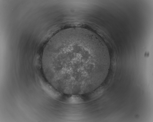 X0000111470270200907131525
