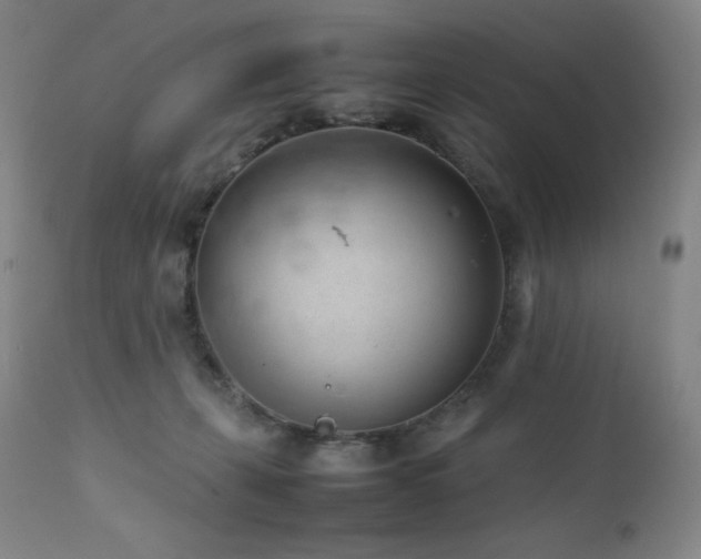 X0000111470271200907131525