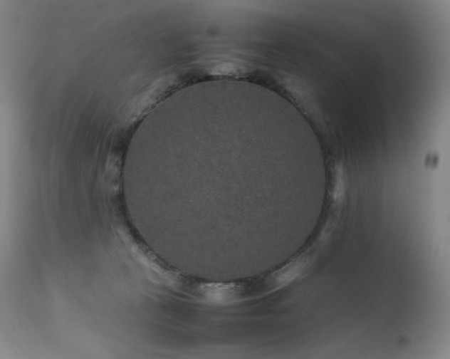 X0000111470273200907131525