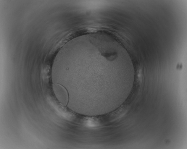 X0000111470275200907131525