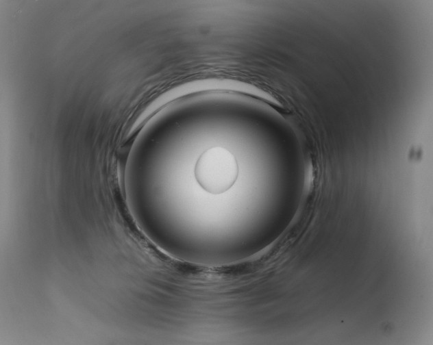 X0000111470276200907131525