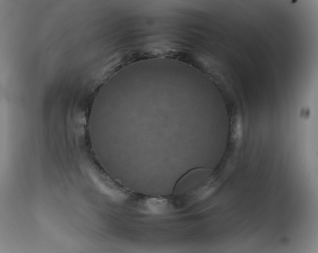 X0000111470279200907131525